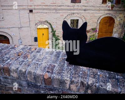 Decorazioni con silhouette di gatto su una parete bassa con un vaso di lavanda e una casa rinascimentale in mattoni con porta gialla; Monte Vidon Combatte, Marche, Italia Foto Stock