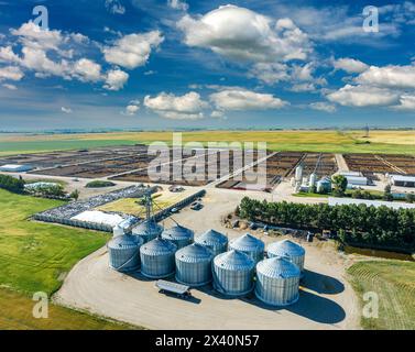 Vista aerea di file di grandi contenitori di grano metallico con bestiame sullo sfondo con cielo blu e nuvole, a est di Langdon, Alberta, Canada Foto Stock