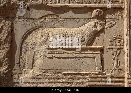 Sobek, il dio coccodrillo su una colonna del Tempio di Kom Ombo, Egitto Foto Stock
