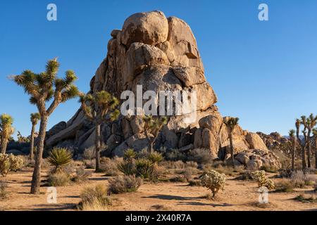 Impressionanti formazioni rocciose nel Joshua Tree National Park situato nel sud della California; Joshua Tree, California, Stati Uniti d'America Foto Stock