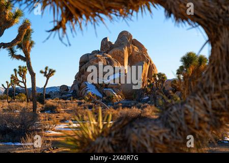 Aspra bellezza nel Parco Nazionale di Joshua Tree con formazioni rocciose, alberi di Joshua (Yucca brevifolia) e tracce di neve alla luce del sole, in California... Foto Stock