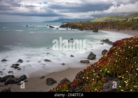 Esposizione lenta di surf e Ice Plant (Aizoaceae) nell'Oceano Pacifico a Sereno del Mar, California, Stati Uniti; California, Stati Uniti d'America Foto Stock