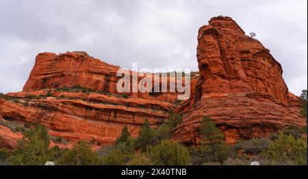 La formazione di rocce rosse predomina nell'area di Sedona nel cappellarrale interno, una prateria semi-desertica nel bosco di conifere del Great Basin Biomes del ... Foto Stock