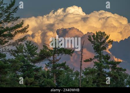 Formazioni nuvolose illuminate dal crepuscolo con alberi in primo piano; Lake of the Woods, Ontario, Canada Foto Stock