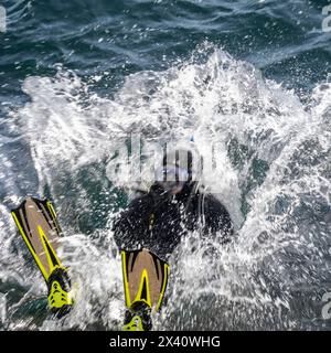 Tuffati con l'attrezzatura completa per immersioni tuffati all'indietro nell'acqua con un grande spruzzo. Ogden Point è una struttura portuale di acque profonde situata nel sud-ovest... Foto Stock