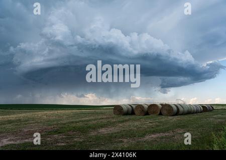 Thunderstom nuvola su un campo di fieno nella campagna del North Dakota durante la stagione di inseguimento delle tempeste; Grand Platte, North Dakota, Stati Uniti d'America Foto Stock