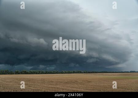 Nuvola di scaffale su un campo di grano negli Stati Uniti rurali; Grand Platte, North Dakota, Stati Uniti Foto Stock