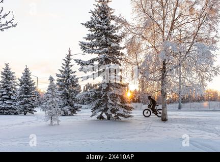 Ciclista con pneumatici grassi nei pressi di Point Woronzof ad Anchorage, AK, vicino a alberi innevati in una giornata invernale limpida Foto Stock