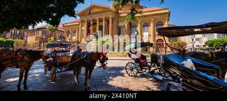 Carrozza trainata da cavalli di fronte al Teatro massimo nel centro storico di Palermo, Sicilia, Italia; Palermo, Sicilia, Italia Foto Stock