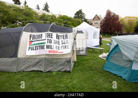 Gli studenti dell'Università di Washington iniziano l'accampamento sul quadruplo universitario a sostegno della Palestina Foto Stock