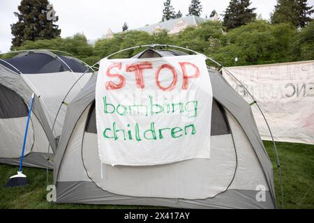 Gli studenti dell'Università di Washington iniziano l'accampamento sul quadruplo universitario a sostegno della Palestina Foto Stock