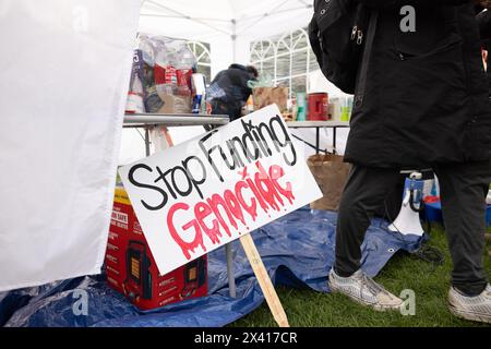 Gli studenti dell'Università di Washington iniziano l'accampamento sul quadruplo universitario a sostegno della Palestina Foto Stock