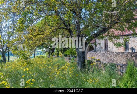 Francia, Quercy, Lot, Saint Laurent-les-Tours, chiesa romana di Saint Laurent Foto Stock