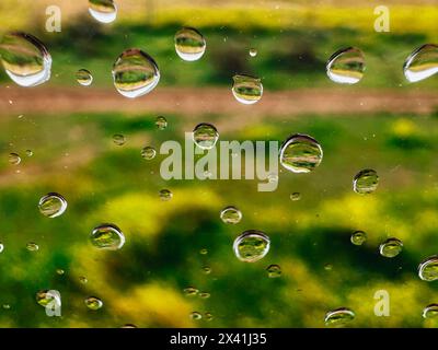 Primo piano di gocce d'acqua macro su un bicchiere bagnato su sfondo verde naturale. Effetto gocce di pioggia su una superficie liscia. Giorno di pioggia. Sfondo astratto Foto Stock