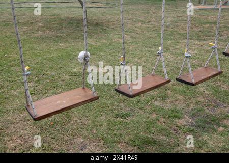 Quattro altalene di legno pendono da una corda in un campo erboso. Le oscillazioni sono tutte ad altezze diverse e distanziate uniformemente. La scena è tranquilla Foto Stock