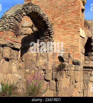 Anfiteatro romano, città di Teramo, Italia Foto Stock