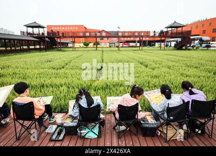 Jiaxing, la provincia cinese dello Zhejiang. 27 aprile 2024. I bambini disegnano foto accanto ai campi della città di Yuxin del distretto di Nanhu nella città di Jiaxing, nella provincia di Zhejiang della Cina orientale, 27 aprile 2024. Come zona dimostrativa per un villaggio armonioso e bellissimo, il distretto di Nanhu ha sviluppato industrie tra cui tour di studio, mostre a livello di villaggio e attività all'aperto con sforzi congiunti di autorità locali, imprese, collettivi e agricoltori per aumentare i redditi e stimolare la rivitalizzazione rurale. Crediti: LAN Hongguang/Xinhua/Alamy Live News Foto Stock