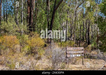 Beelu National Park sulla collina di Perth, Australia Occidentale. Foto Stock