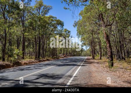 Beelu National Park sulla collina di Perth, Australia Occidentale. Foto Stock