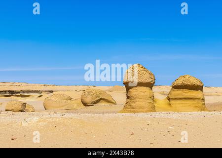 Wadi al Hitan, Faiyum, Egitto. Rocce erose lungo il sentiero interpretativo a Wadi el-Hitan sito paleontologico. Foto Stock