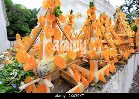 Rituale sacro che offre alberi di phueng (alberi di api) e candele per rendere omaggio a Phra That si Song Rak, Dan Sai, provincia di Loei, Thailandia Foto Stock