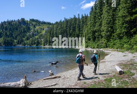 Escursionisti che camminano sulla riva del lago Summit. Cane che gioca nel lago. Parco nazionale di Mount Rainier. Stato di Washington. Foto Stock