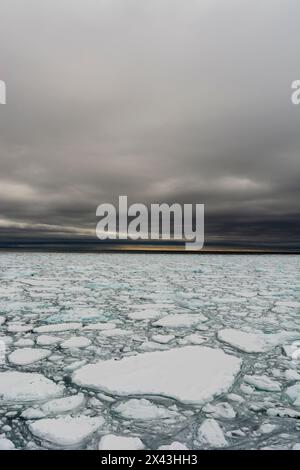 Sciogliendo il ghiaccio marino artico. Calotta glaciale polare settentrionale, Oceano Artico Foto Stock