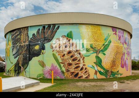 Water Tank Art di Amanda Newman, Bonny Hills, NSW, Australia Foto Stock