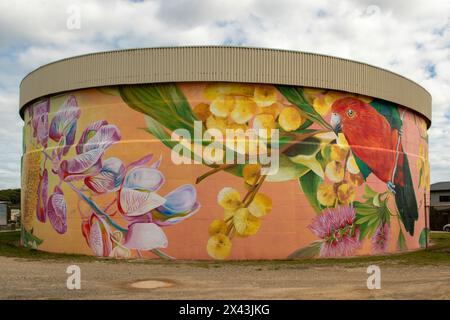 Water Tank Art di Amanda Newman, Bonny Hills, NSW, Australia Foto Stock