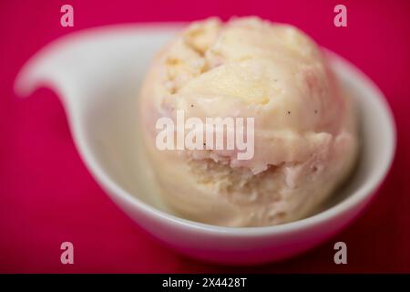 Una pallina fresca di gelato alla vaniglia fatto in casa con variegato di mirtilli in una ciotola Foto Stock