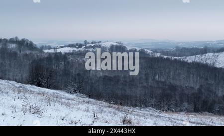 Paesaggio collinare invernale con foresta e villaggio sparso, campagna silenziosa in giornata noiosa Foto Stock