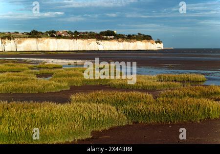 Vista della riserva naturale di Pegwell Bay, Kent Foto Stock