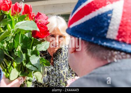 University College Hospital, Londra, Regno Unito. 30 aprile 2024. Royal Superfan, John Loughrey, consegna a sua Maestà la Regina Camilla un mucchio di tulipani e rose mentre visita l'University College Hospital Macmillan Cancer Centre, con sua Maestà Re Carlo III, segna il primo giorno del Re come nuovo Patrono della ricerca sul cancro nel Regno Unito e il suo primo impegno pubblico da quando ha annunciato la sua diagnosi sul cancro. Foto di Amanda Rose/Alamy Live News Foto Stock