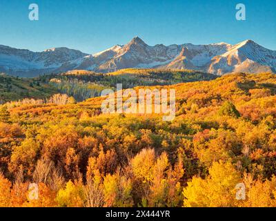 USA, Colorado, Quray. Dallas divide, alba sul monte Snaffles con colori autunnali Foto Stock