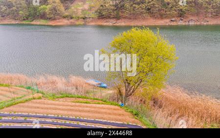 Paesaggio di una piccola barca blu ormeggiata su una sponda di canne alte con un piccolo campo di colture in primo piano e lungo litorale e alberi dentro Foto Stock