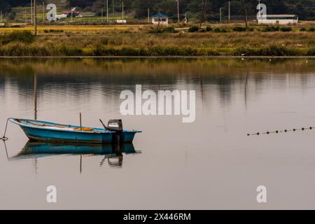 Piccola barca da pesca blu con motore fuoribordo in mezzo al lago con canne alte e erba sulla riva sullo sfondo a NamHae, Corea del Sud Foto Stock