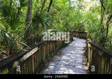 Kirby Storter Roadside Park, Tamiami Trail East, Ochopee, Everglades, Florida, STATI UNITI Foto Stock