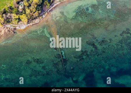 Riva del lago di Costanza, acque turchesi, vista aerea, dall'alto verso il basso, vista aerea, Immenstaad am Lake Costanza, Baden-Wuerttemberg, Germania Foto Stock