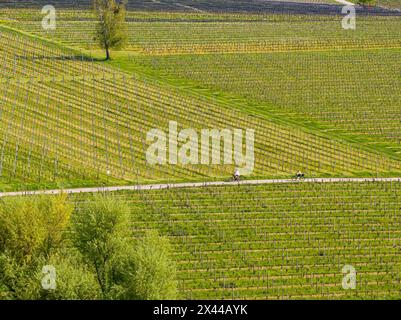 Paesaggio in fiore in primavera, frutteti e vigneti, vista aerea, tour in bicicletta lungo le piste ciclabili sul lago di Costanza vicino a Meersburg Foto Stock