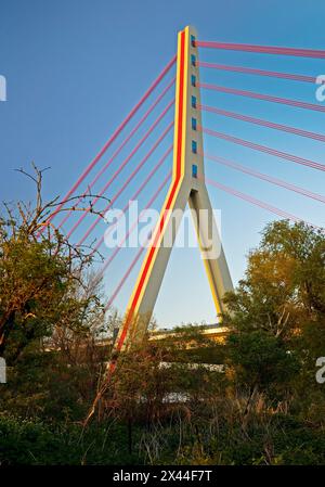 Riserva naturale presso l'ansa del Reno di Uedesheim con il ponte Fleher sul Reno, Neuss, basso Reno, Renania settentrionale-Vestfalia, Germania Foto Stock