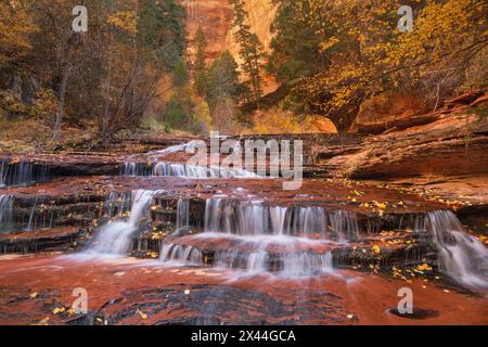 Archangel Falls sulla Fork sinistra di North Creek, Zion National Park Foto Stock