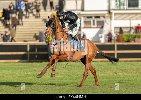 Quarta gara a Wincanton, 20 gennaio 2022, handicap hurdle, Classe 3 Foto Stock