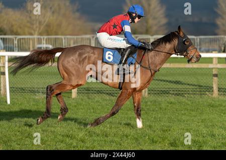 Quarta gara a Wincanton, 20 gennaio 2022, handicap hurdle, Classe 3 Foto Stock