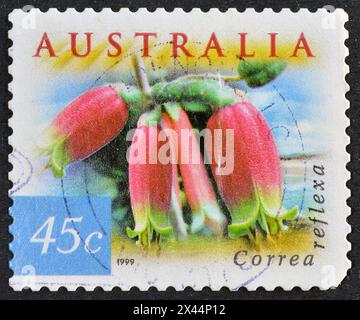 Francobollo cancellato stampato dall'Australia, che mostra la Fuchsia nativa (Correa reflexa), fauna e Flora - Coastal Environment, circa 1999. Foto Stock