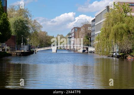 Visita Plantage Muidergracht ad Amsterdam Paesi Bassi 29-4-2024 Foto Stock