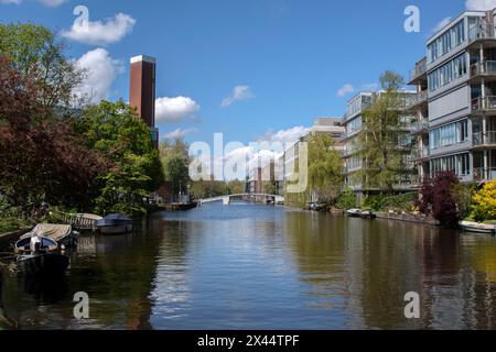 Visita Plantage Muidergracht ad Amsterdam Paesi Bassi 29-4-2024 Foto Stock