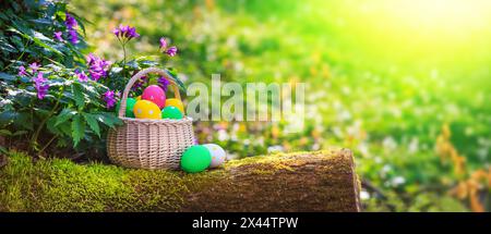 Cestino con uova di Pasqua su un tronco di un albero muschio nella foresta primaverile, attenzione selettiva - biglietto di auguri di stagione e striscione orizzontale di sfondo con Foto Stock