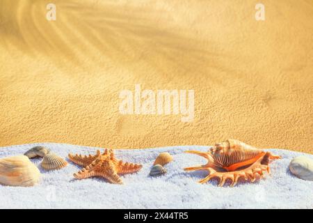 Vista di una spiaggia di sabbia con asciugamano e conchiglie sotto il caldo sole estivo, concentrazione selettiva. Concetto di vacanza in spiaggia sabbiosa, sfondo con spazio fotocopie per Foto Stock