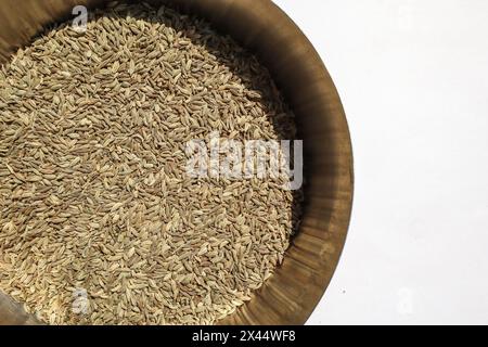 Vista dall'alto dei semi di finocchio, noti anche come Saunf utilizzati nel cibo o mangiati crudi come Mouth Fresener, aiuta nella digestione e altri benefici per la salute Foto Stock