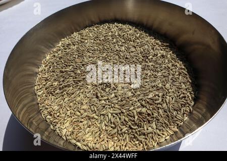 Vista dall'alto dei semi di finocchio, noti anche come Saunf utilizzati nel cibo o mangiati crudi come Mouth Fresener, aiuta nella digestione e altri benefici per la salute Foto Stock